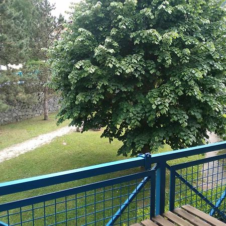Duplex Lumineux - 40M2 - 2 Chambres - Balcon Terrasse - Parking - Entierement Renove En Mai 2024 Cauterets Esterno foto